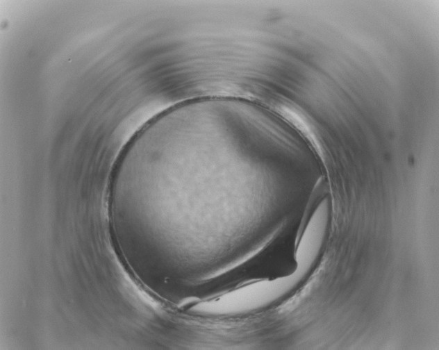 X0000088381141200706121138