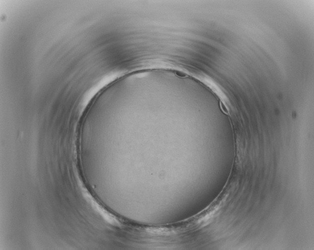 X0000088381142200706121138