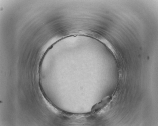 X0000088381143200706121138