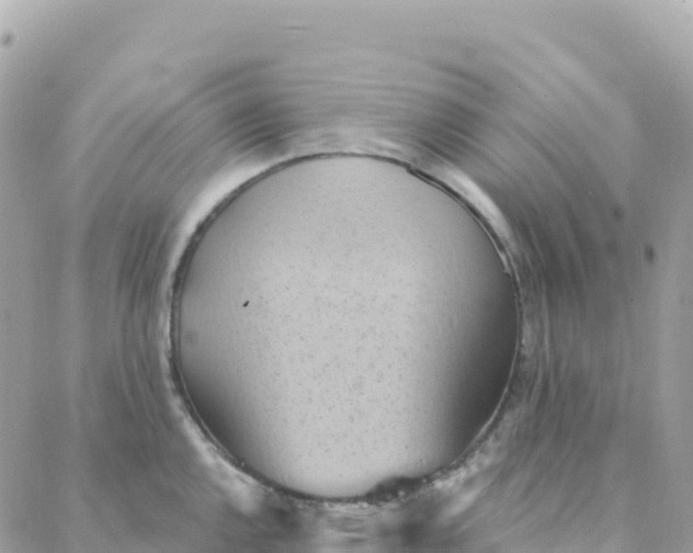 X0000088381144200706121138