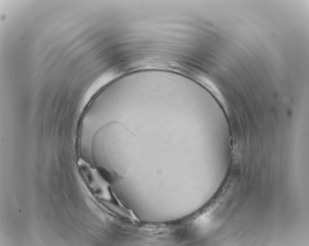 X0000088381146200706121138