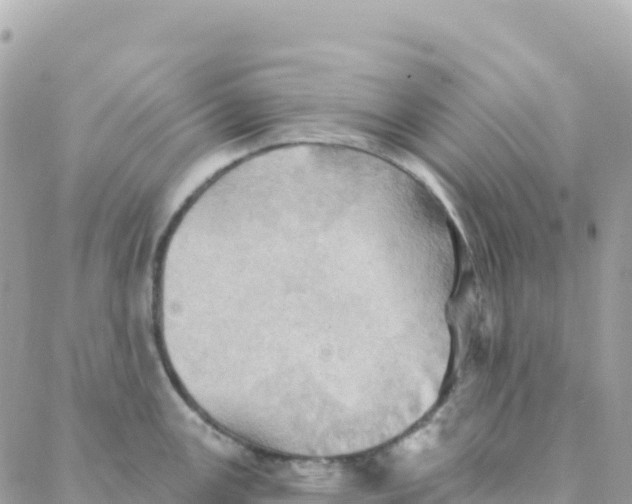 X0000088381147200706121138