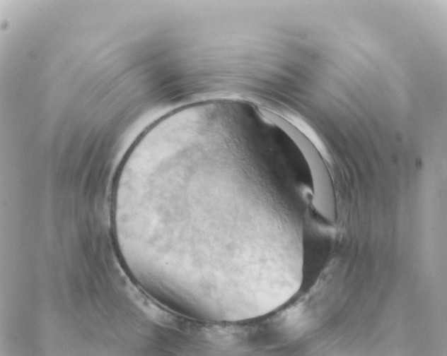 X0000088381148200706121138