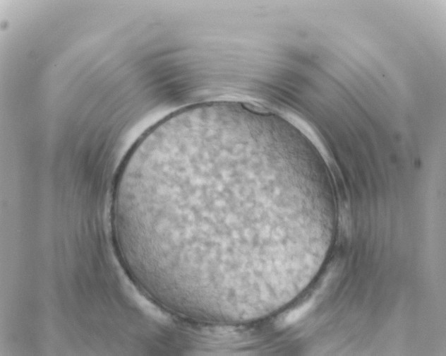 X0000088381149200706121139