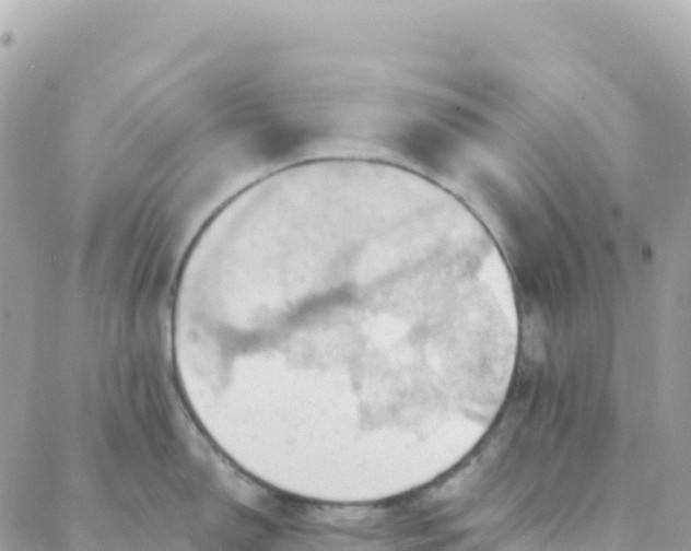 X0000088381150200706121139