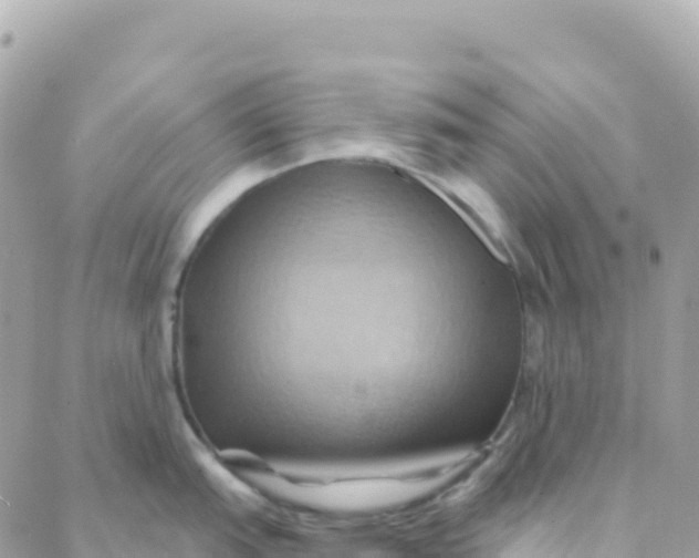 X0000088381151200706121139