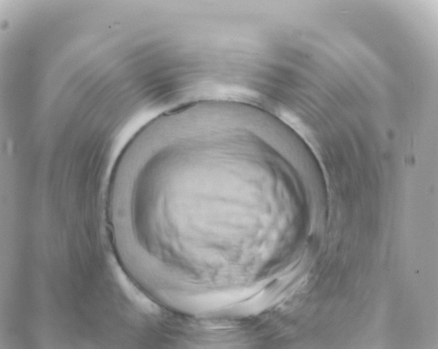 X0000088381152200706121139