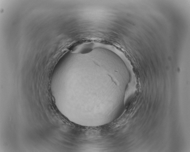 X0000088381153200706121138