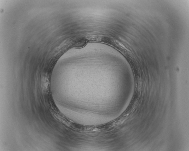 X0000088381154200706121138