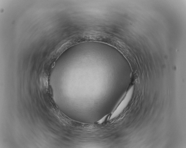 X0000088381155200706121138