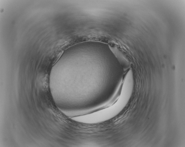 X0000088381156200706121138