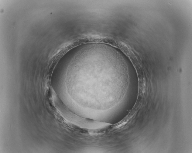 X0000088381157200706121138