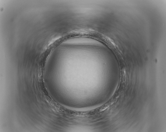 X0000088381158200706121138