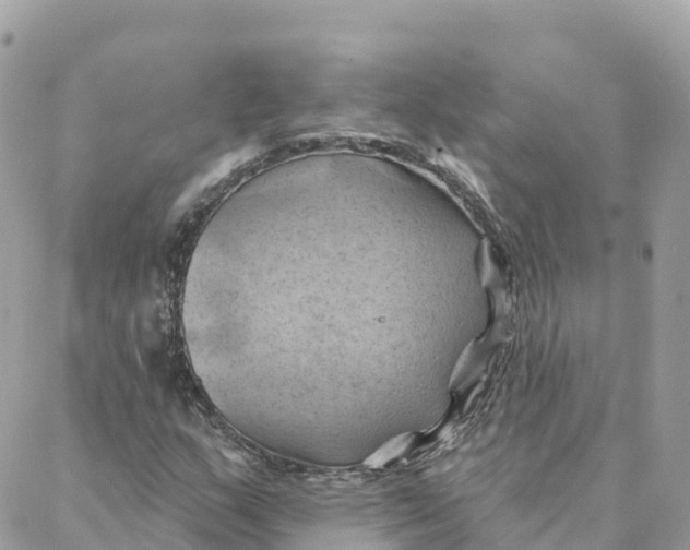 X0000088381159200706121138