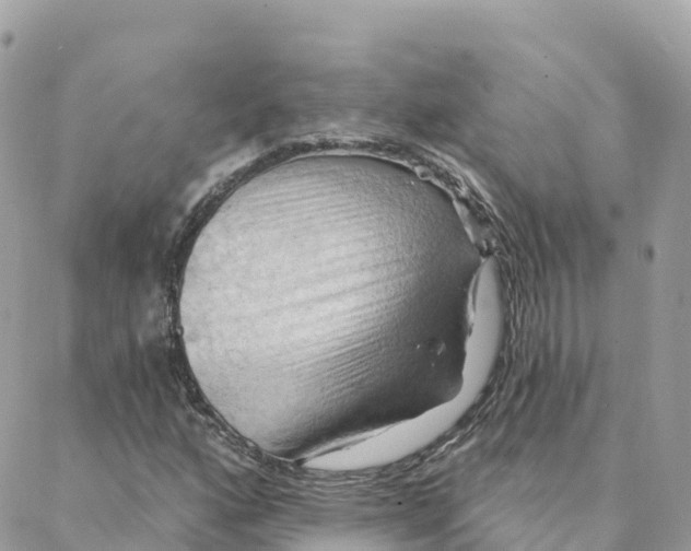 X0000088381160200706121138