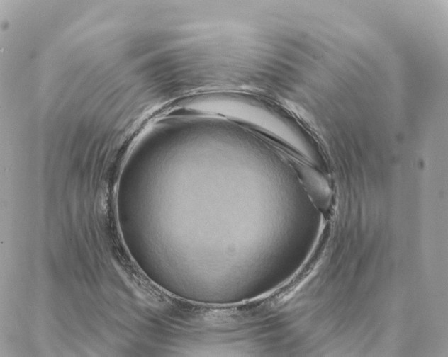 X0000088381161200706121138