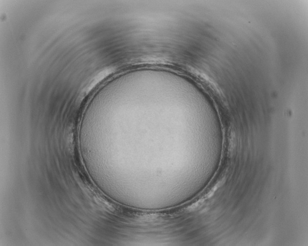 X0000088381162200706121138