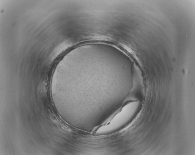 X0000088381163200706121138