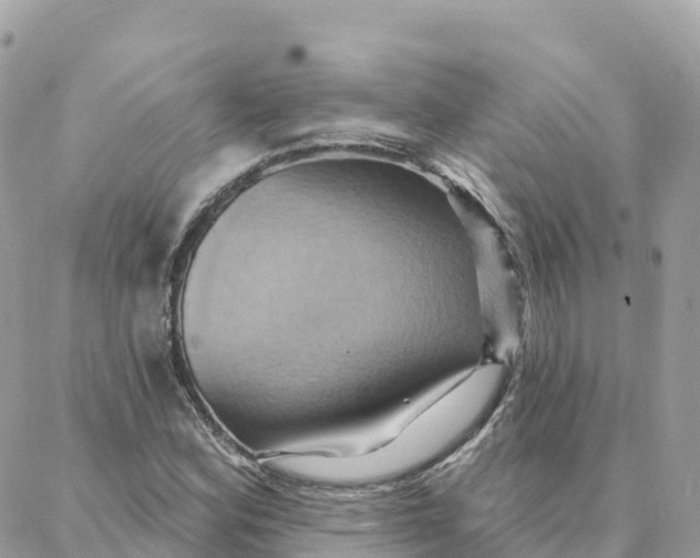 X0000088381164200706121138