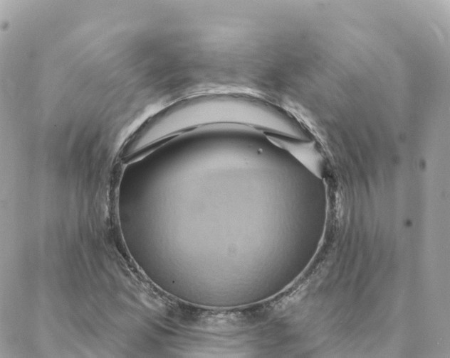 X0000088381165200706121138