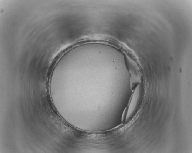 X0000088381166200706121138