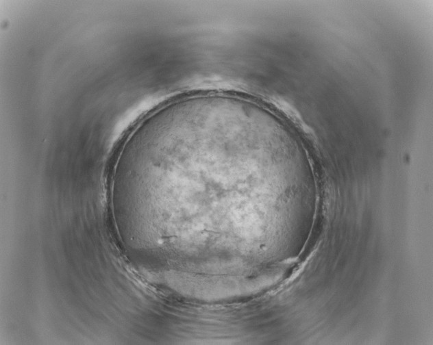 X0000088381167200706121138