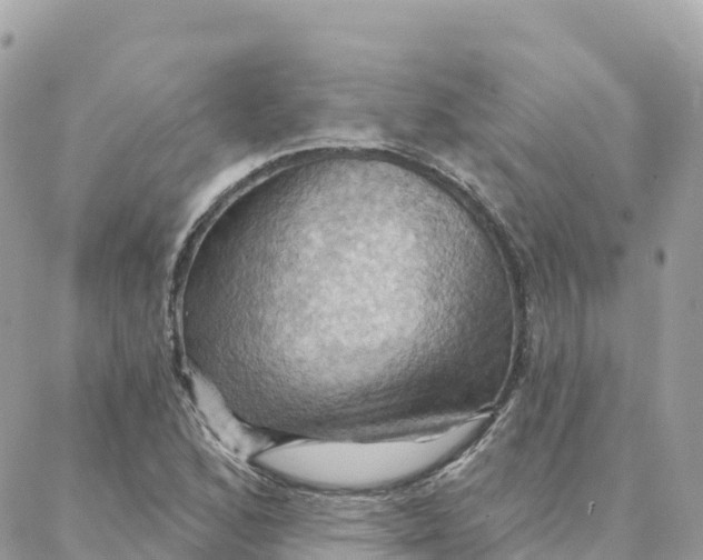 X0000088381168200706121138