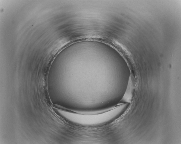 X0000088381169200706121138