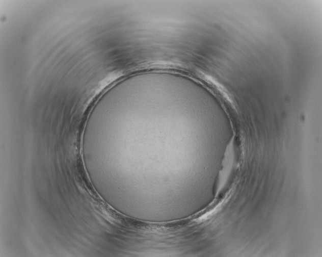 X0000088381170200706121138