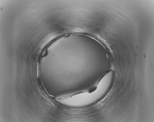 X0000088381171200706121137