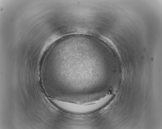 X0000088381172200706121137