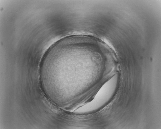 X0000088381173200706121137