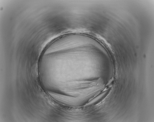 X0000088381174200706121137