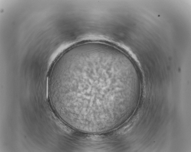 X0000088381175200706121137