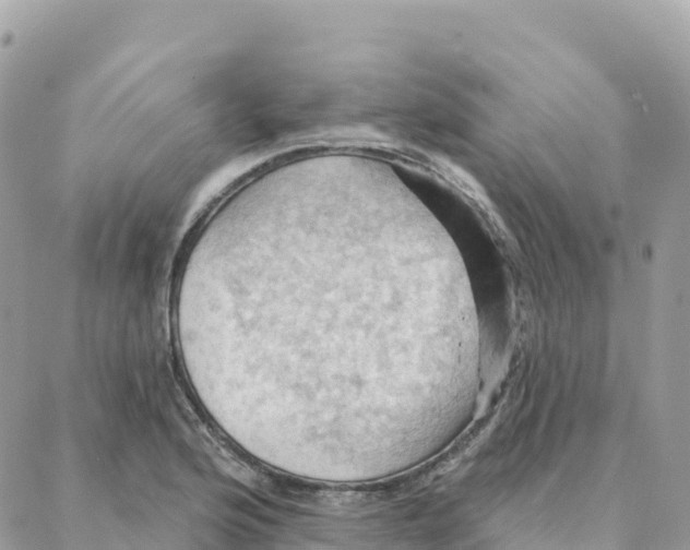 X0000088381176200706121137