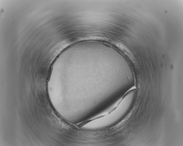 X0000088381177200706121137