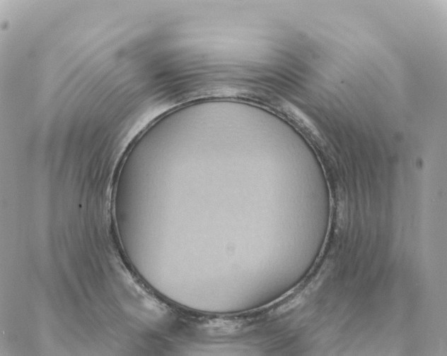 X0000088381178200706121137