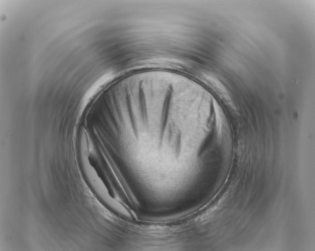 X0000088381180200706121137