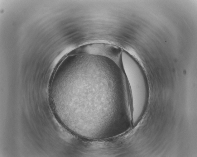 X0000088381181200706121137