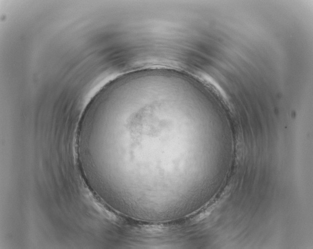 X0000088381182200706121137