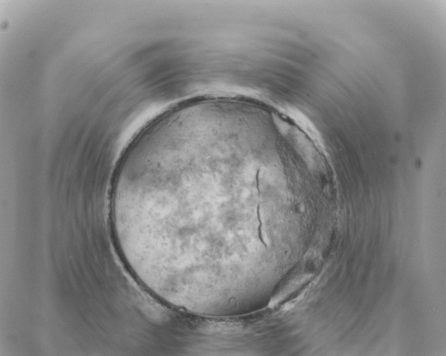 X0000088381183200706121137