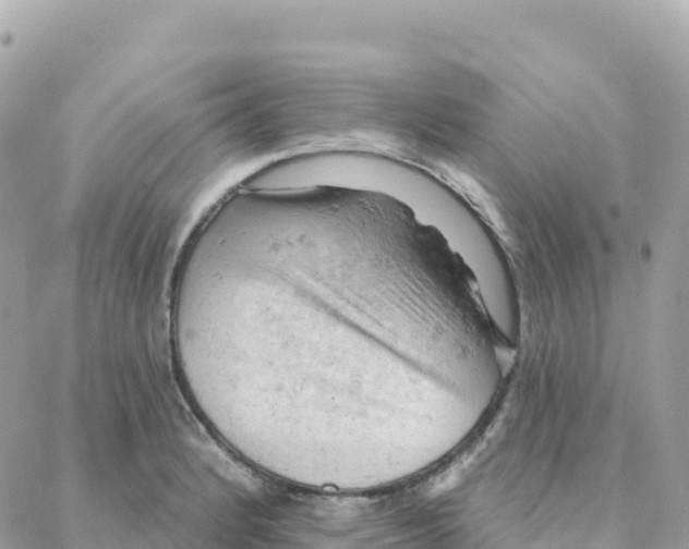 X0000088381184200706121137