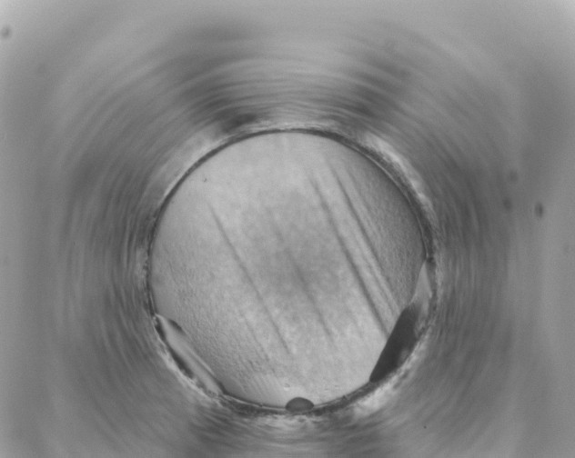 X0000088381185200706121137