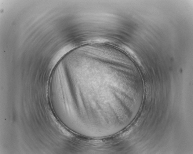 X0000088381186200706121137