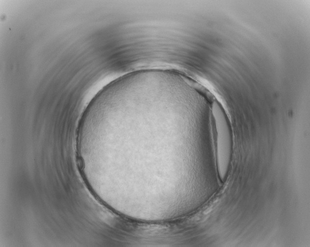 X0000088381187200706121137