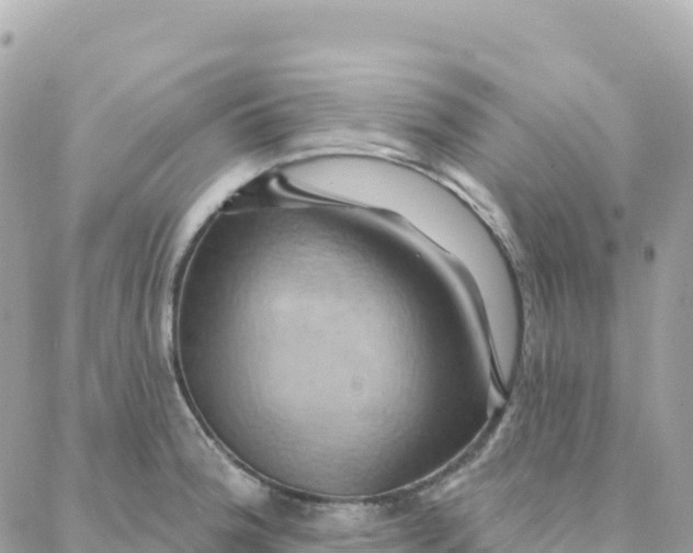 X0000088381188200706121137