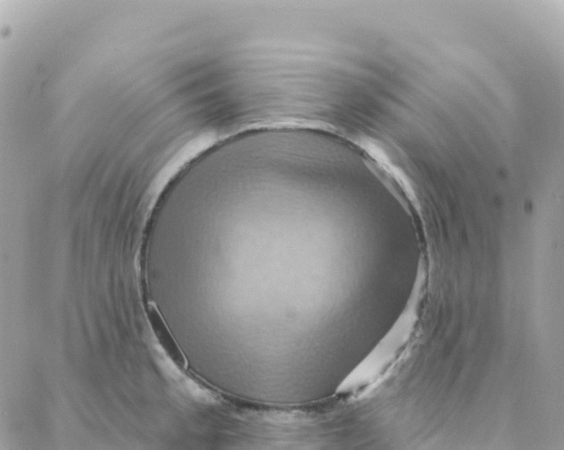 X0000088381189200706121137