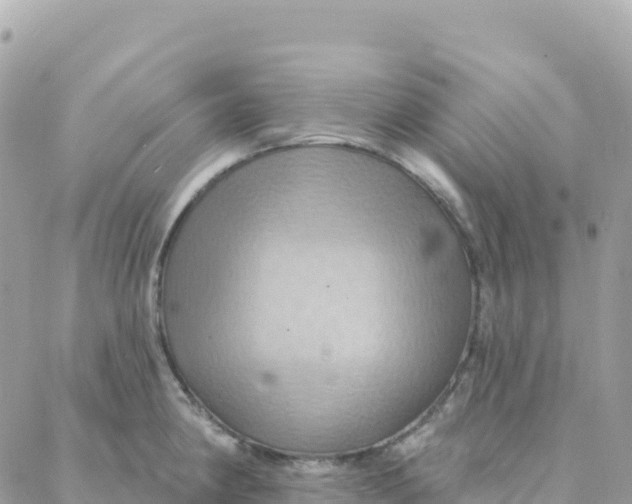 X0000088381190200706121137