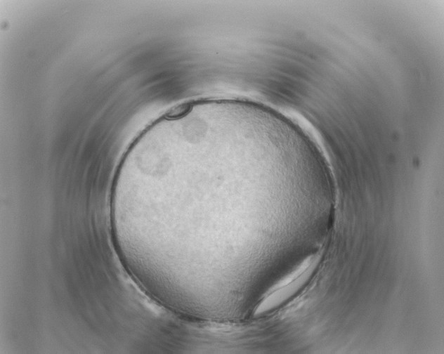 X0000088381191200706121137