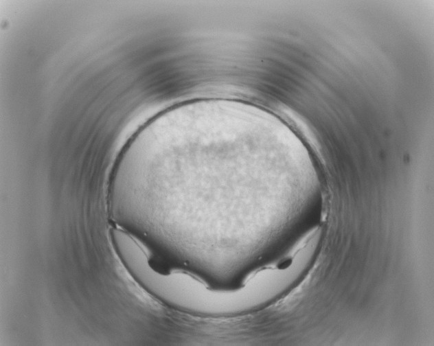 X0000088381192200706121137